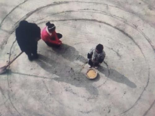 擺閘,三輥閘,速通閘,旋轉(zhuǎn)閘,平移閘,一字閘,人臉識(shí)別，